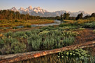 Grand Teton National Park, Wyoming.