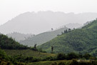 Mekong River, Laos.