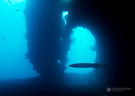 USS Liberty Wreck, Tulamben, Bali.