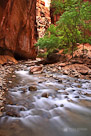 The Virgin River runs through the narrowing canyon walls of Ziion National Park, Utah.