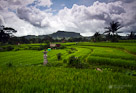 Countryside, Bali.