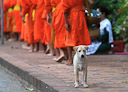 Luang Prabang, Laos.