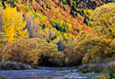 Fall colors in Arrowtown, New Zealand.
