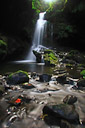 One of the many hidden waterfalls along The Road to Hana, Maui, Hawaii.
